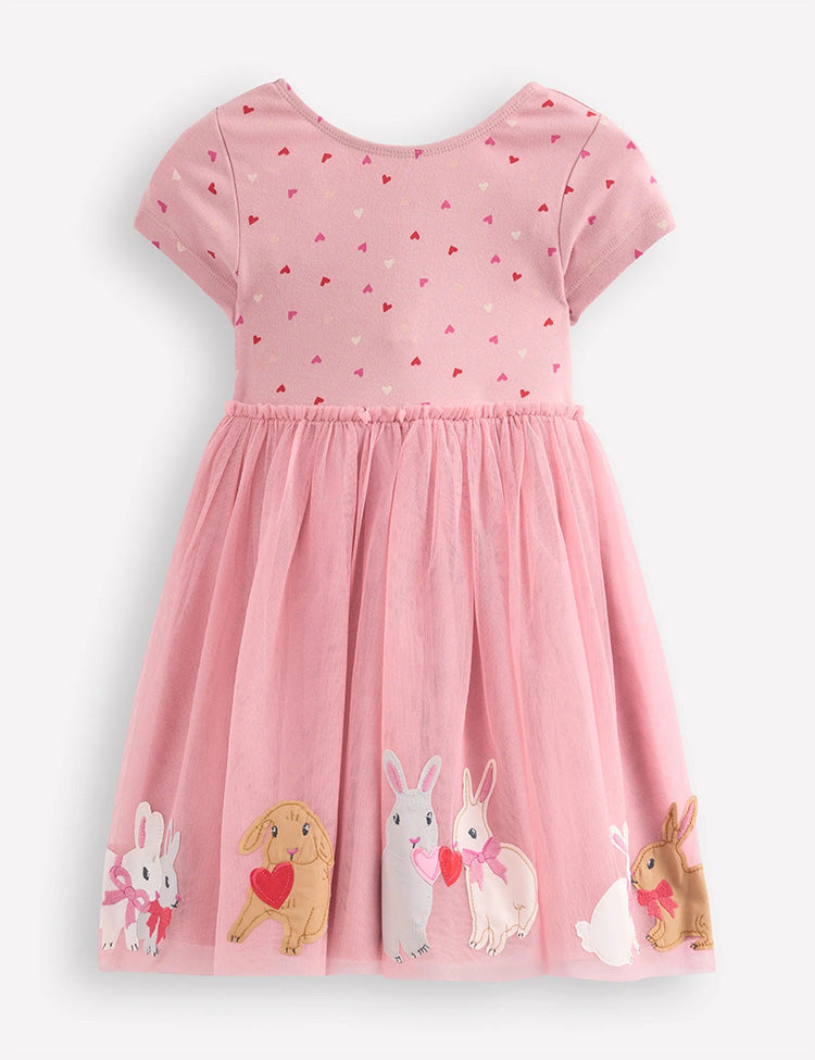 Ami Applique Tulle Dress