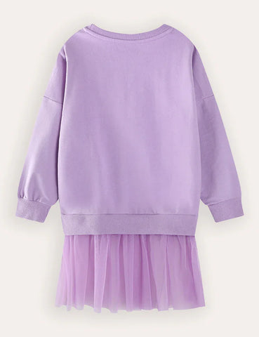 Fairy Embroidered Sweatshirt Tulle Dress