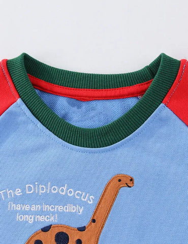 Dinosaur Embroidered Sweatshirt