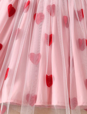 Love Embroidery Tulle Long Sleeve Princess Dress