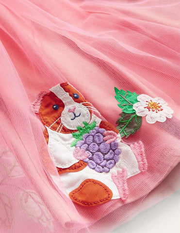 Applique Tulle Ballet Dress - Mini Taylor
