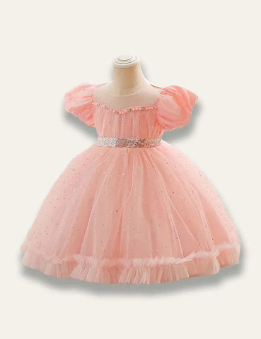 Floral Princess Tulle Party Dress - Mini Taylor