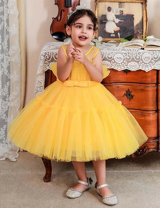 Princess Tulle Party Dress - Mini Taylor