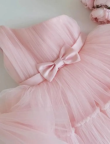 Ribbon Mesh Party Dress - Mini Taylor