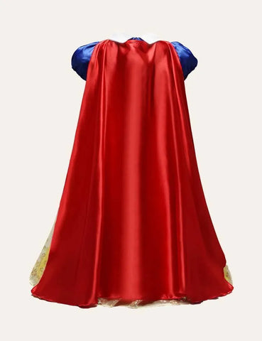 Snow White Mesh Party Dress - Mini Taylor
