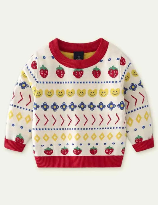 Strawberry Brocade Sweater - Mini Taylor